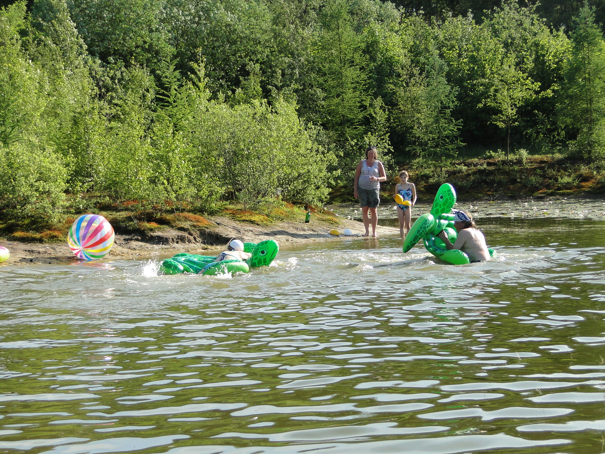 2011HWK 429.jpg